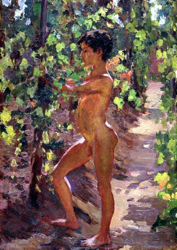 Carleton E.Watkins Study for Boys picking grapes at Capri